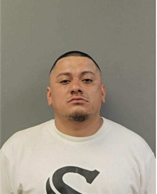 CELESTINO BANUELOS, Cook County, Illinois