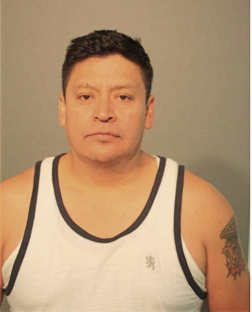CARLOS A BARRETO, Cook County, Illinois