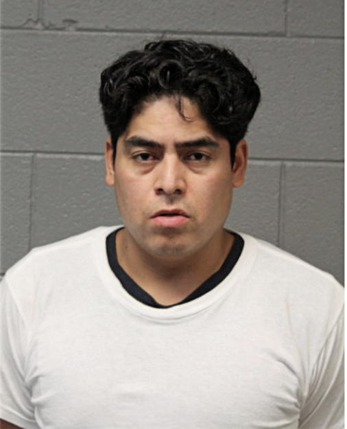 ANTONIO JOSE CELEDON-HERNANDEZ, Cook County, Illinois