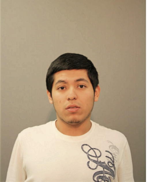 MIGUEL DIAZ, Cook County, Illinois