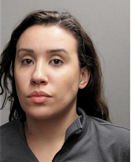ANA M GONZALEZ, Cook County, Illinois