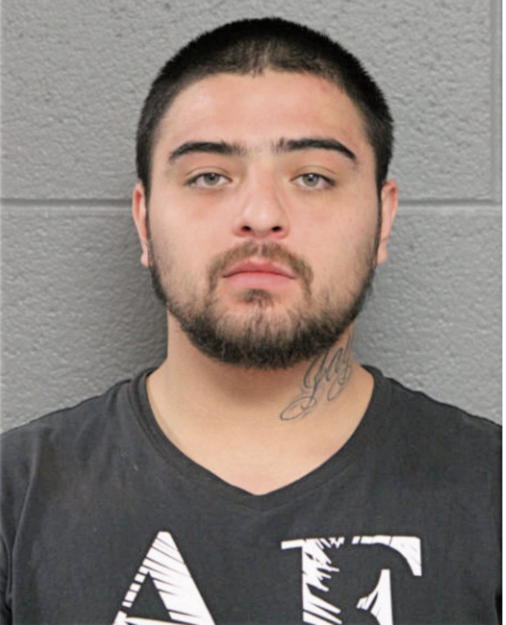 OSCAR J HERNANDEZ, Cook County, Illinois