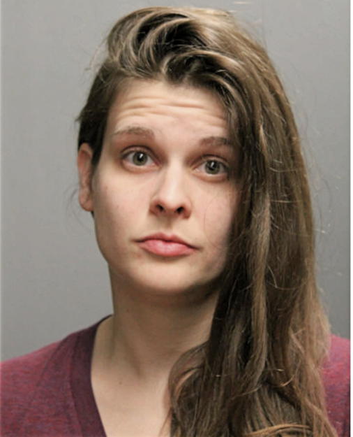 ASHLEY D HEYER, Cook County, Illinois
