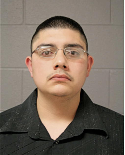 HECTOR IBARRA, Cook County, Illinois