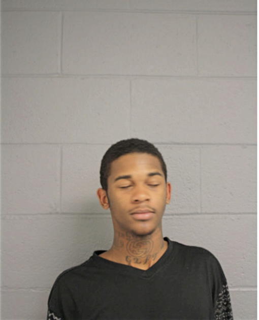 TION T LEWIS, Cook County, Illinois