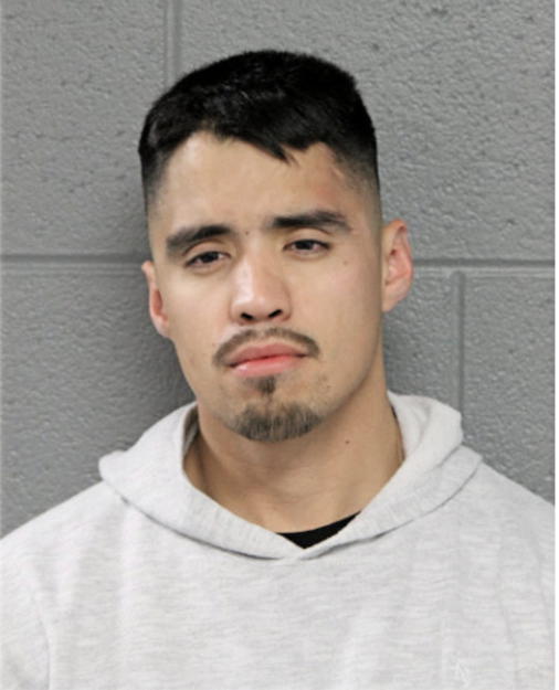 LUIS D MORENO, Cook County, Illinois