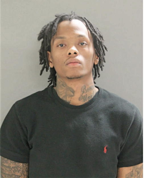 EARL T PALMER, Cook County, Illinois
