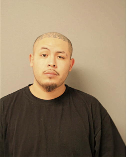 HECTOR RUIZ, Cook County, Illinois