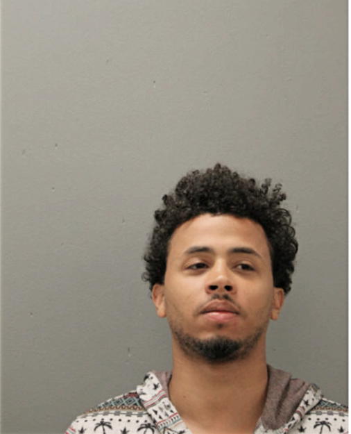 DESMOND P SHANE, Cook County, Illinois