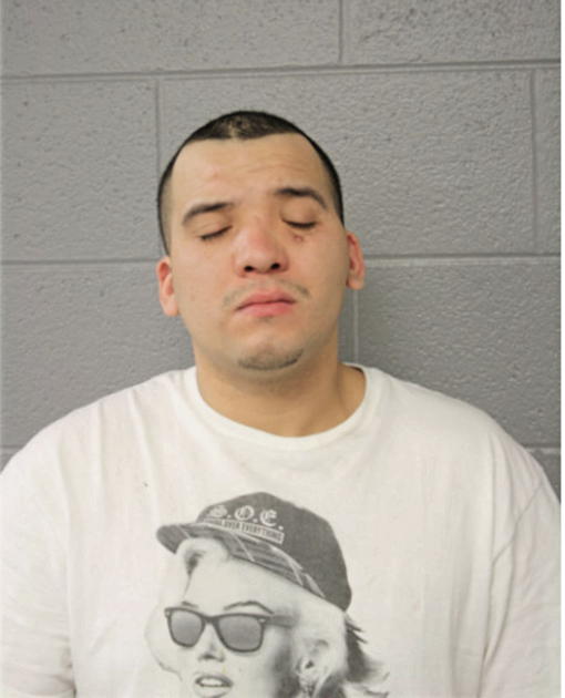 JOSE F VARGAS, Cook County, Illinois