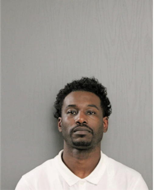 MICHEAL L WILLIAMS, Cook County, Illinois