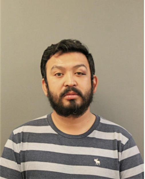 JOEL BAHENA, Cook County, Illinois