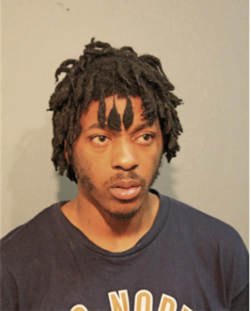 TIMOTHY S DELANEY, Cook County, Illinois