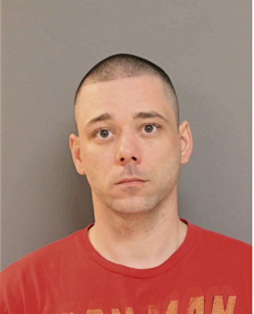 MICHAEL T DRALAND, Cook County, Illinois