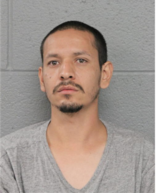 WILFREDO ESTRADA, Cook County, Illinois