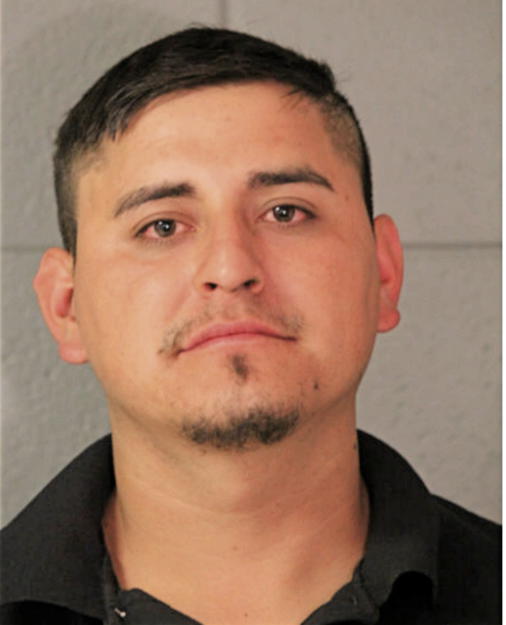 JUAN DIEGO FLORES-VERGARA, Cook County, Illinois