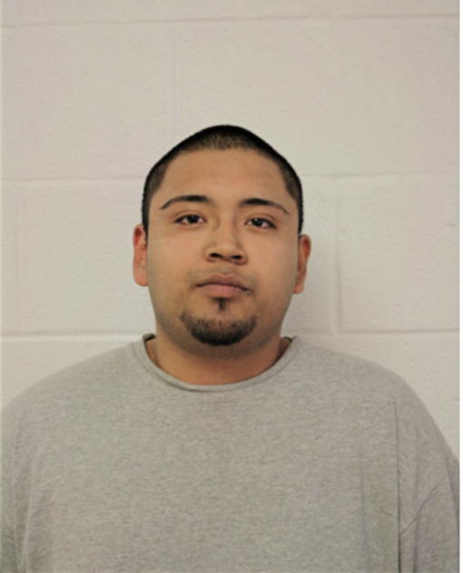 VICTOR D GERARDO, Cook County, Illinois