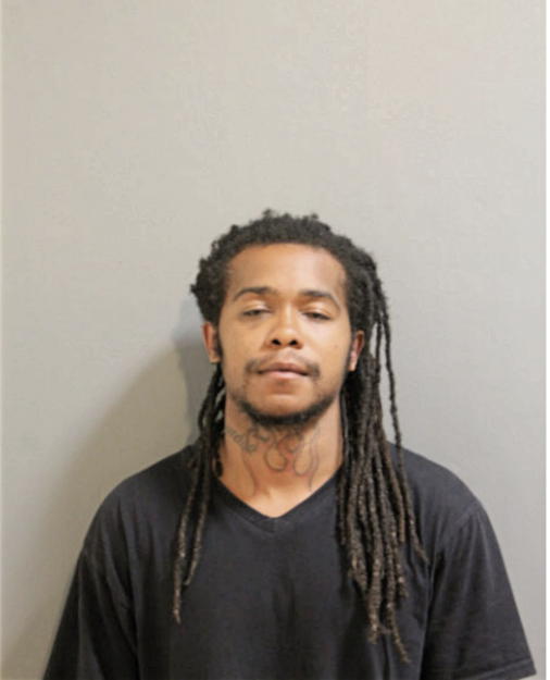 TIMMY C HORN, Cook County, Illinois
