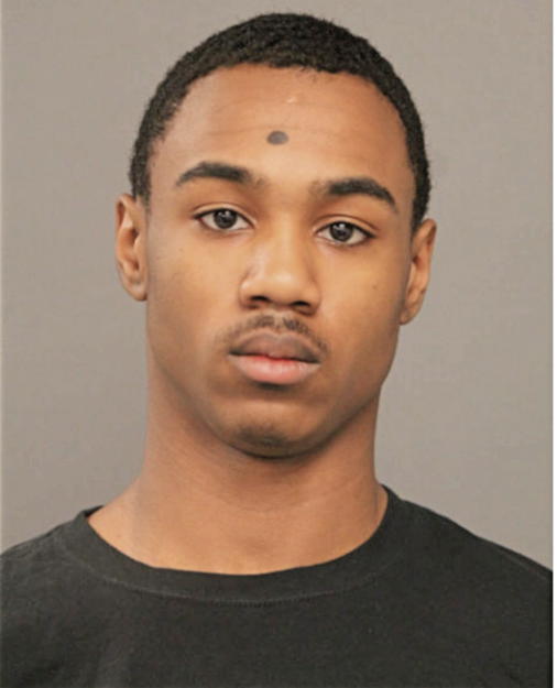 IRVING L JOHNSON, Cook County, Illinois