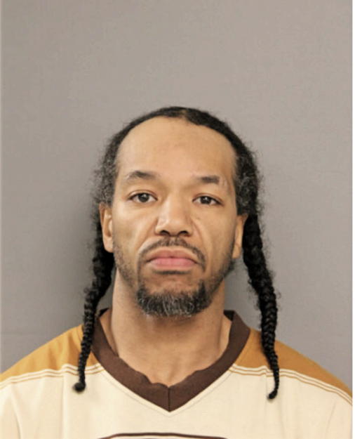 DONIELLE W LEWIS, Cook County, Illinois