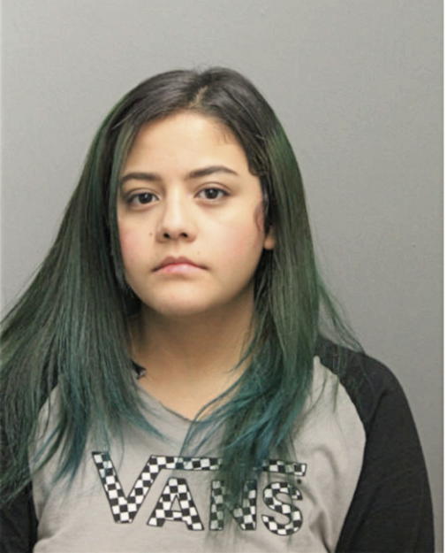 ROXANA LOPEZ, Cook County, Illinois