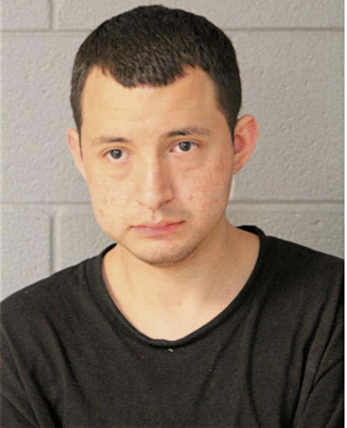 ETZEL P MAGALLANES BARRERA, Cook County, Illinois