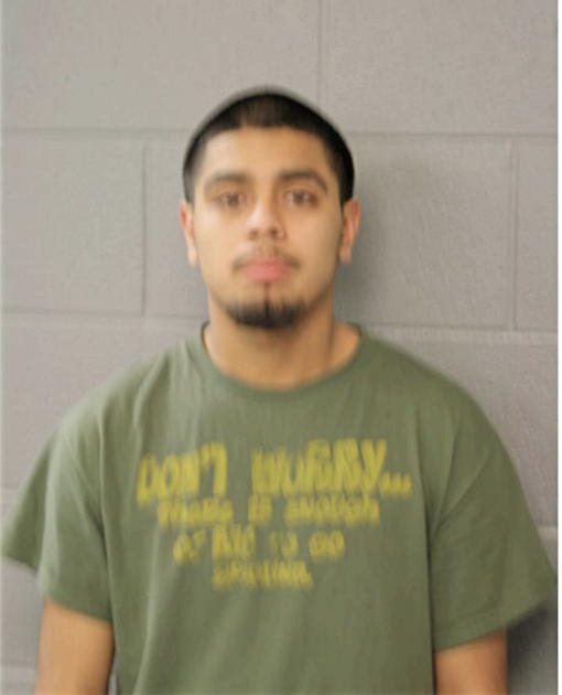 RENE M MENDOZA, Cook County, Illinois
