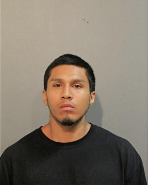 DAVID R RODRIGUEZ, Cook County, Illinois