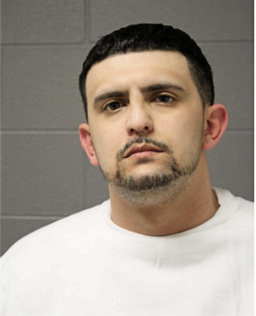 AHAMAD SALEH, Cook County, Illinois