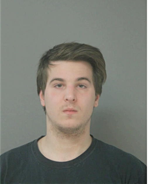 DANIEL J STEFAN, Cook County, Illinois