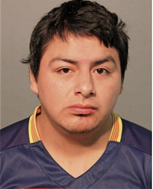 CHRISTIAN JAVIER TEPAN, Cook County, Illinois