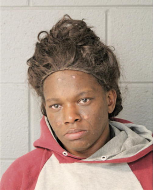 MONIQUE L WHITE, Cook County, Illinois