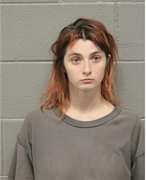 AMBER M WILSON, Cook County, Illinois