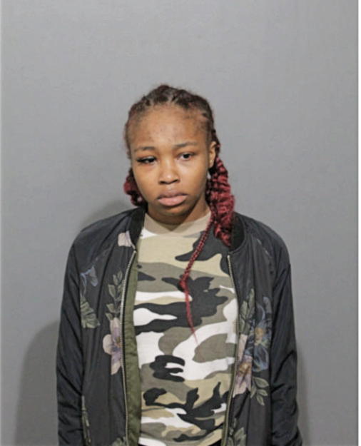 DESTYNIE ALLEN, Cook County, Illinois
