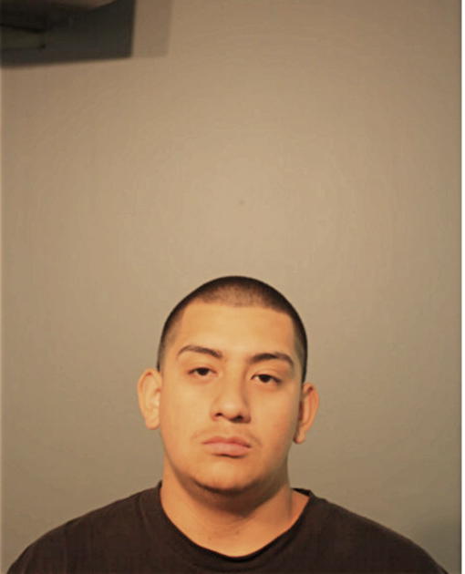 RAFAEL A ALVAREZ, Cook County, Illinois