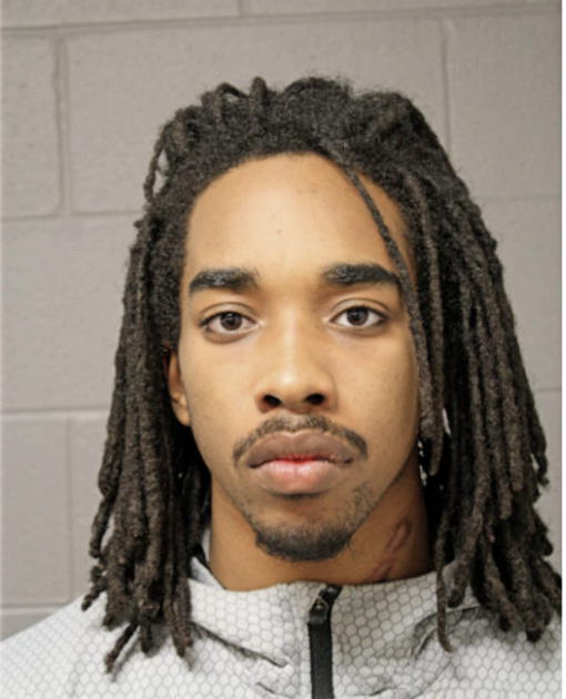 MATTHEW J ANDREWS, Cook County, Illinois