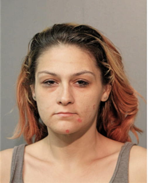 VANESSA M BEGOVICH, Cook County, Illinois