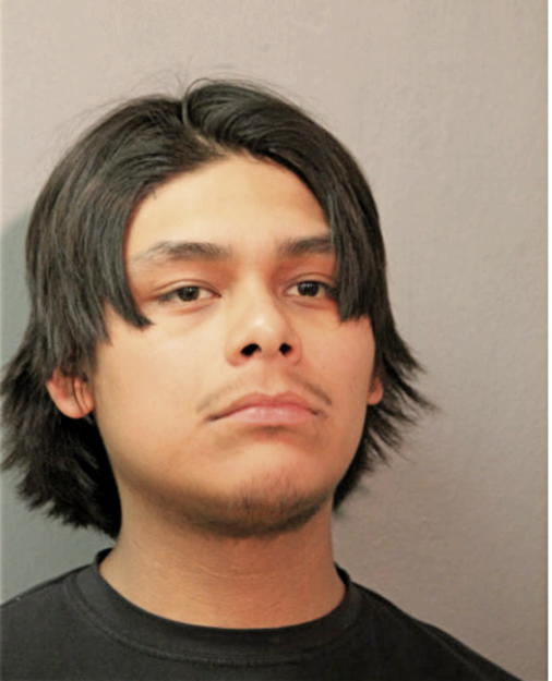ANDRES DELGADO, Cook County, Illinois