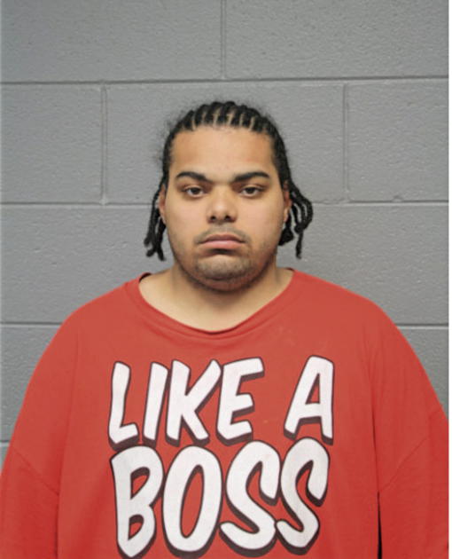DOMINITREIS DIRKANS, Cook County, Illinois