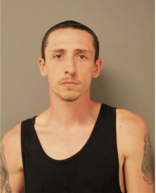 ERIK A DROWNS, Cook County, Illinois