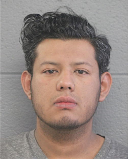 LUIS E DE LA MORA, Cook County, Illinois