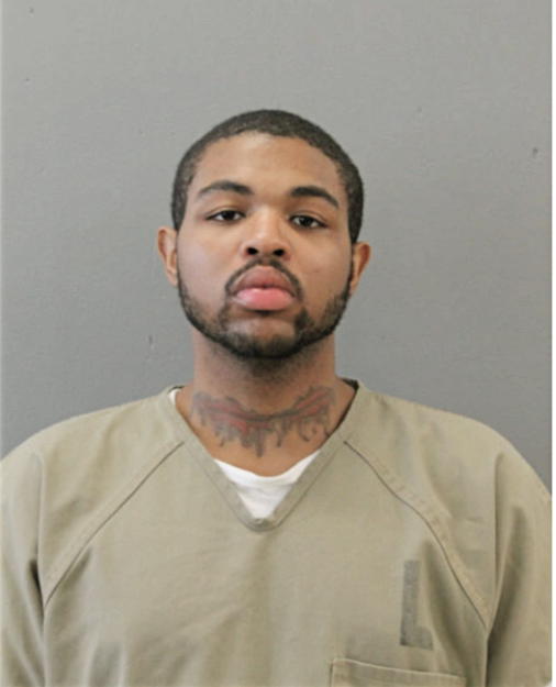 BRUCE E FORD, Cook County, Illinois