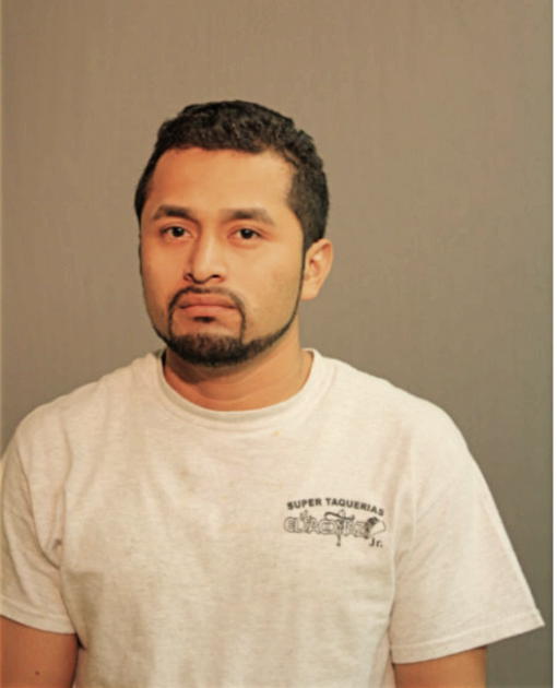 LUIS A GARCIA, Cook County, Illinois