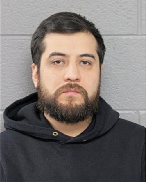CARLOS F GONZALEZ, Cook County, Illinois