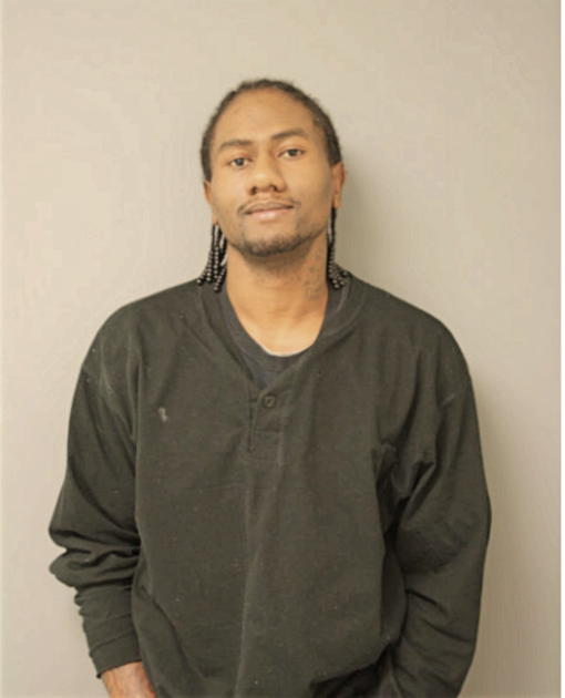 LARRY J JAMES, Cook County, Illinois