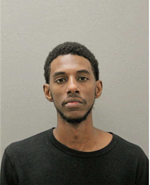 MATTHEW L LEE, Cook County, Illinois