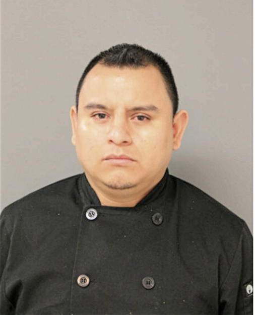 SEVERINO LUNA-GUEVERA, Cook County, Illinois