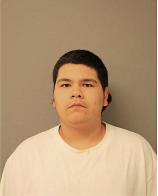 MICHAEL A MARMALEJO, Cook County, Illinois