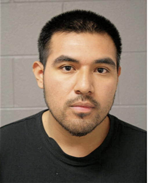 MARCO A MARTINEZ, Cook County, Illinois