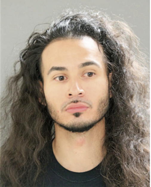MISAEL MEDINA, Cook County, Illinois